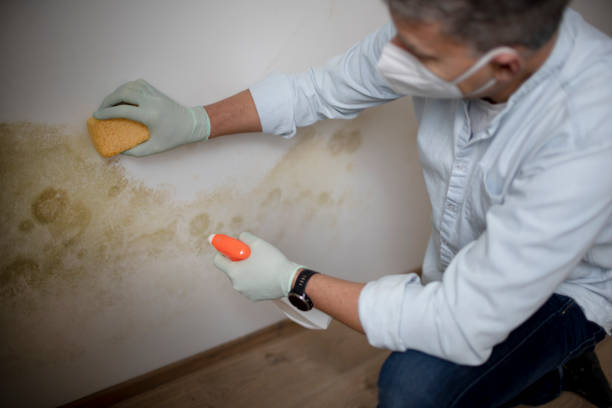 Crawl Space Mold Removal in Hypoluxo, FL